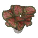 productHero-SPOTWF-BP80691530-red-3