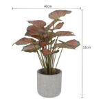 productHero-SPOTWF-BP80691530-red-5