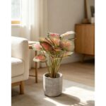 productHero-SPOTWF-BP80691530-red-6