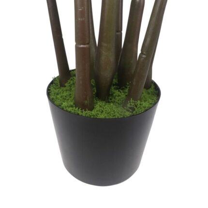 productHero-SPOTWF-BP80692167-green-2