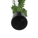productHero-SPOTWF-BP80692167-green-4
