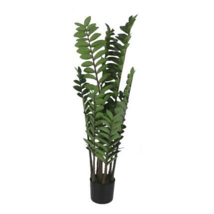 productHero-SPOTWF-BP80692167-green