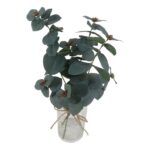 productHero-SPOTWF-BP80692170-green-3