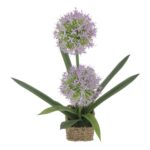 productHero-SPOTWF-BP80692171-blue-2