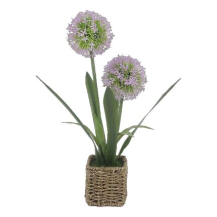 productHero-SPOTWF-BP80692171-blue