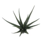 productHero-SPOTWF-BP80692172-green-2