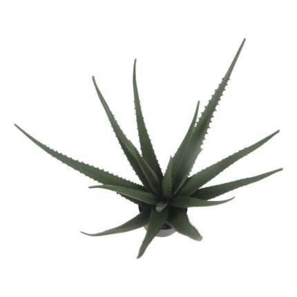 productHero-SPOTWF-BP80692172-green-2