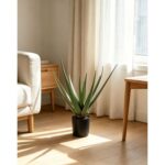 productHero-SPOTWF-BP80692172-green-6