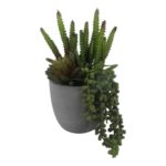 productHero-SPOTWF-BP80692173-green