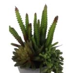 productHero-SPOTWF-BP80692173-green-2