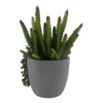 productHero-SPOTWF-BP80692173-green-4