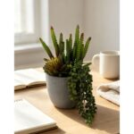 productHero-SPOTWF-BP80692173-green-7
