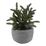 productHero-SPOTWF-BP80692174-green