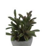 productHero-SPOTWF-BP80692174-green-2