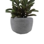 productHero-SPOTWF-BP80692174-green-3