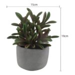 productHero-SPOTWF-BP80692174-green-4