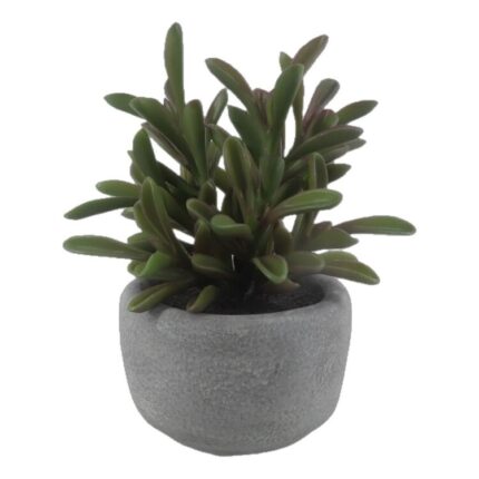 productHero-SPOTWF-BP80692174-green