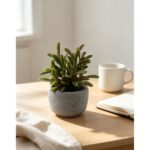 productHero-SPOTWF-BP80692174-green-5