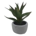 productHero-SPOTWF-BP80692175-green
