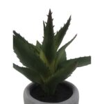 productHero-SPOTWF-BP80692175-green-2
