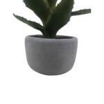 productHero-SPOTWF-BP80692175-green-3