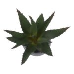 productHero-SPOTWF-BP80692175-green-4