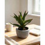 productHero-SPOTWF-BP80692175-green-6