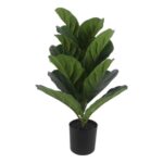 productHero-SPOTWF-BP80692177-green