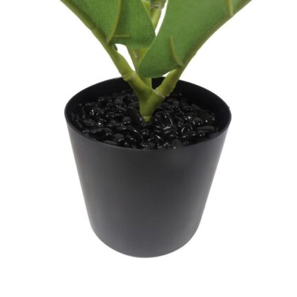 productHero-SPOTWF-BP80692177-green-2