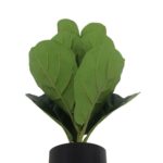 productHero-SPOTWF-BP80692177-green-3