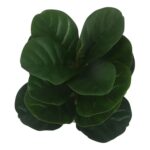 productHero-SPOTWF-BP80692177-green-4