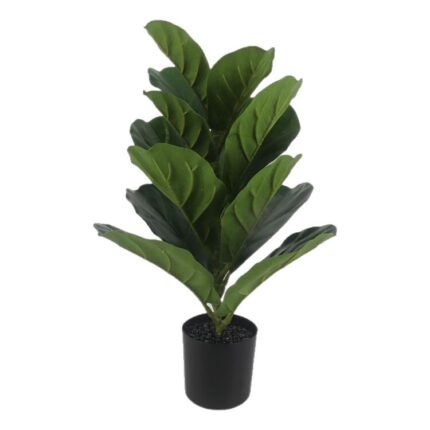 productHero-SPOTWF-BP80692177-green