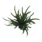 productHero-SPOTWF-BP80692178-green-4