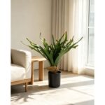 productHero-SPOTWF-BP80692178-green-6