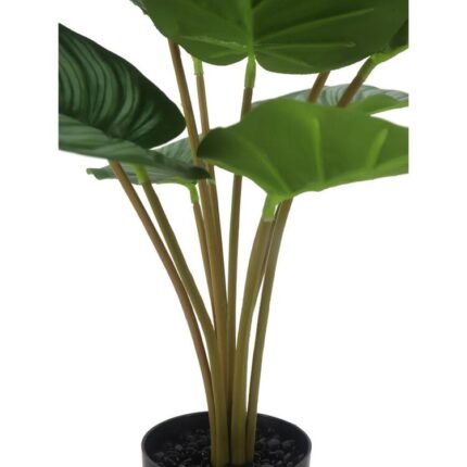 productHero-SPOTWF-BP80692179-green-2