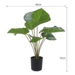 productHero-SPOTWF-BP80692179-green-5