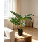 productHero-SPOTWF-BP80692179-green-6