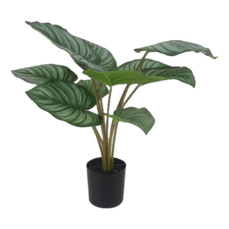 productHero-SPOTWF-BP80692179-green productHero-SPOTWF-BP80692179-green