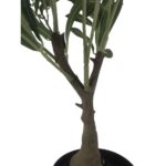 productHero-SPOTWF-BP80692180-green-2