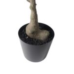 productHero-SPOTWF-BP80692180-green-3