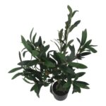 productHero-SPOTWF-BP80692180-green-4