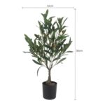 productHero-SPOTWF-BP80692180-green-5