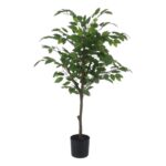 productHero-SPOTWF-BP80692182-green