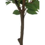 productHero-SPOTWF-BP80692182-green-2