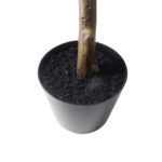 productHero-SPOTWF-BP80692182-green-3