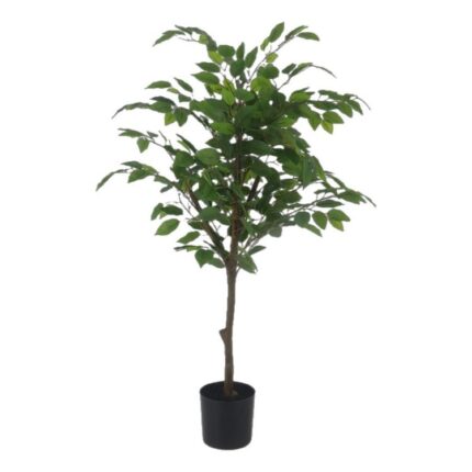 productHero-SPOTWF-BP80692182-green