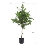 productHero-SPOTWF-BP80692182-green-5