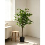 productHero-SPOTWF-BP80692182-green-6