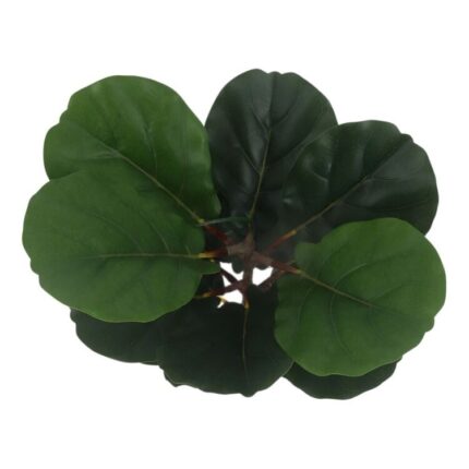 productHero-SPOTWF-BP80692183-green-2