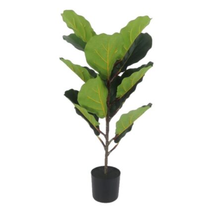 productHero-SPOTWF-BP80692183-green
